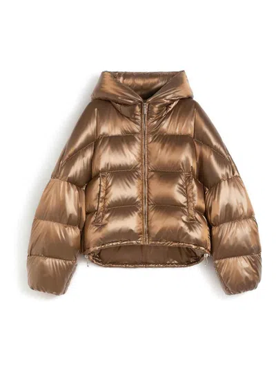 Max Mara The Cube Water-repellent Nylon Canvas Down Jacket In Brown