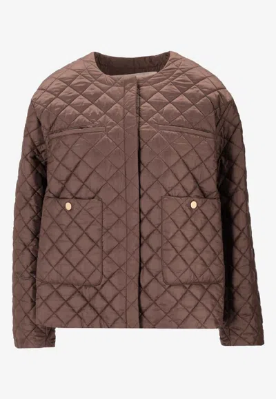 Max Mara The Cube Water-repellent Padded Jacket In Brown