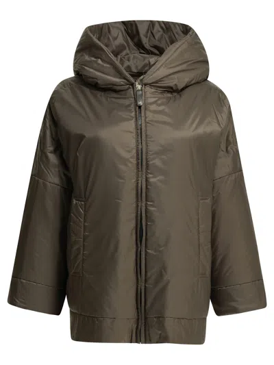 Max Mara The Cube Water-repellent Padded Jacket In Brown