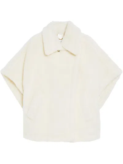 Max Mara Thebes1 Accessories In Neutral
