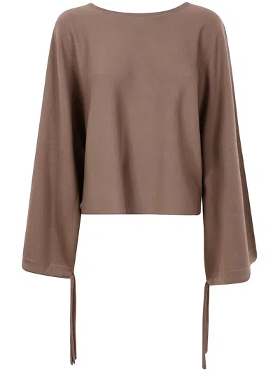 Max Mara Tie Accent Sweatshirt In Brown