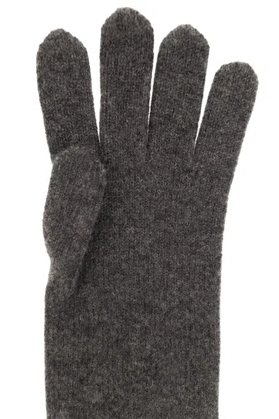 Max Mara Timor Gloves Accessories In Grey