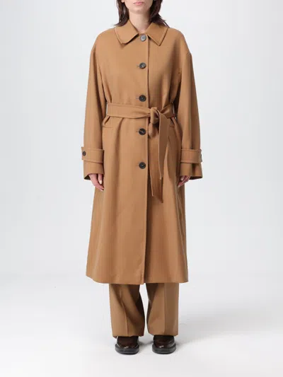 Max Mara Trench Coat Woman  Studio In Brown