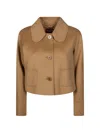 Max Mara Triumph Button-up Collared Cropped Jacket In Brown