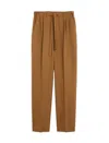 Max Mara Edere Pants In Brown