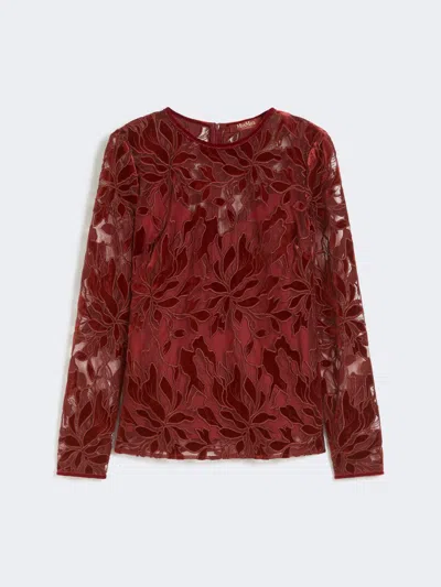 Max Mara Tulle T-shirt With Velvet Embroidery In Red