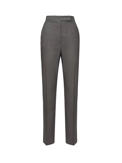 Max Mara Turbigo Pleat Detailed Striaght Leg Trousers In Gray
