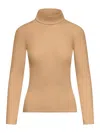 MAX MARA MAX MARA TURTLENECK KNITTED TOP