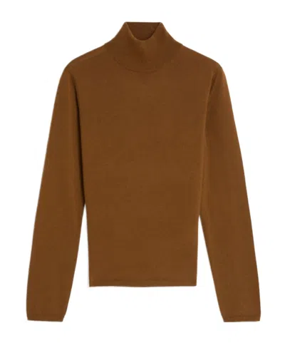 Max Mara Turtleneck Long-sleeved Jumper In Brown