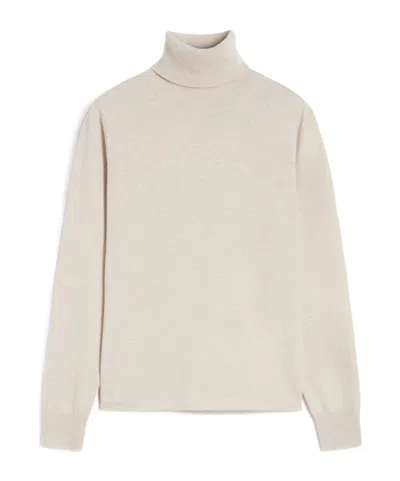 Max Mara Educata Ribbed Turtleneck Sweater In Gray