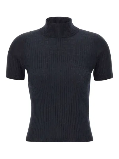Max Mara Turtleneck Ribbed Top In Blue