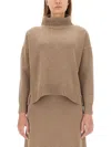 Max Mara Long Sleeve Turtleneck Knit Top In Brown