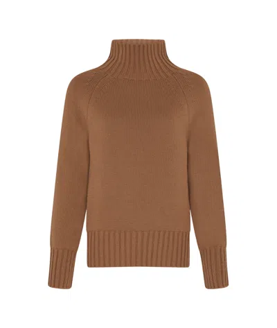 Max Mara Turtleneck Sweater In Brown