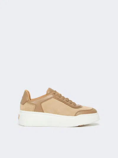 Max Mara Urban Suede Sneakers In Brown