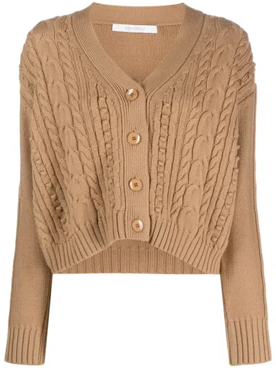 Max Mara V-neck Virgin Wool Cardigan In Brown