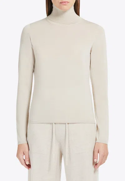 Max Mara Veloce Cashmere High-neck Sweater In Beige