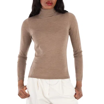 Max Mara Veloce Cashmere Turtleneck Jumper In Cacha