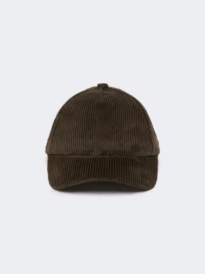 Max Mara Velvet Baseball Cap In Brown