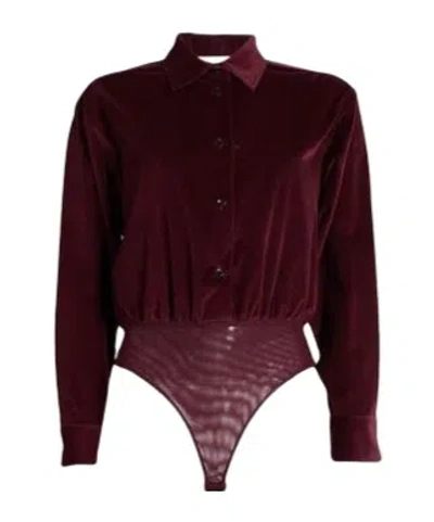 Max Mara Velvet Collared Long-sleeve Bodysuit Shirt In Burgundy