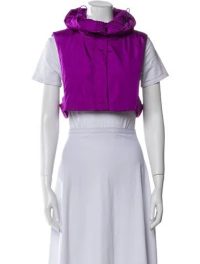 Pre-owned Max Mara Vest In Blue