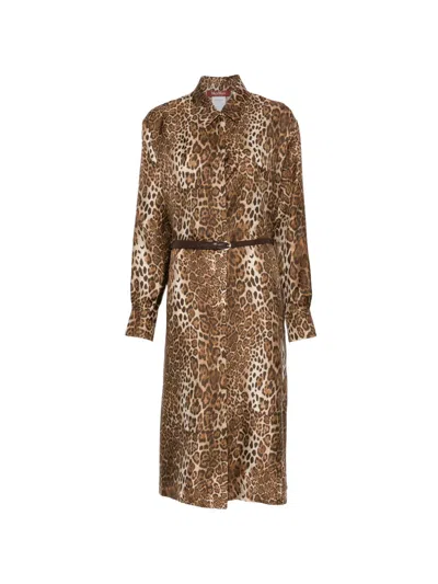 Max Mara Vigile Midi Dress In Brown