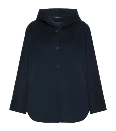 Max Mara Virgin Wool Hooded Coat In Blue