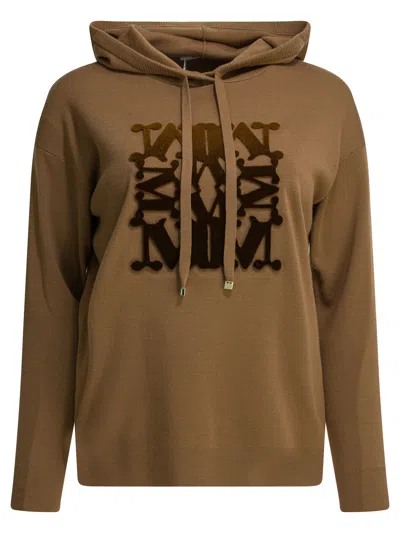 Max Mara Virgin Wool Hooded Sweater In Brown