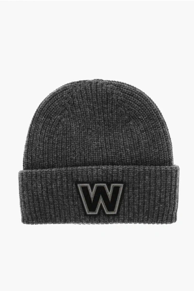 Max Mara Virgin Wool Ribbed Alben Beanie In Gray