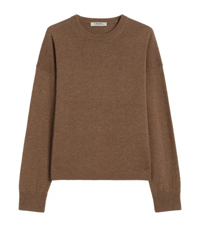 Max Mara Virgin Wool-cashmere Sweater In Brown