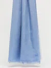 Max Mara Viscose And Cashmere Shawl In Light Blue