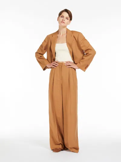 Max Mara Viscose And Linen Trousers In Terra Cotta