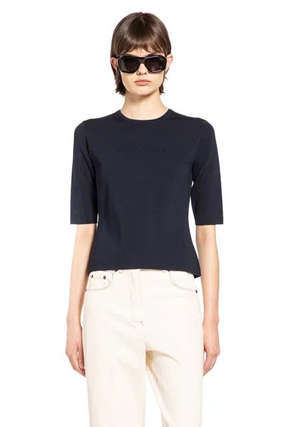 Max Mara Viscose Nylon Short Sleeve Top In Blue