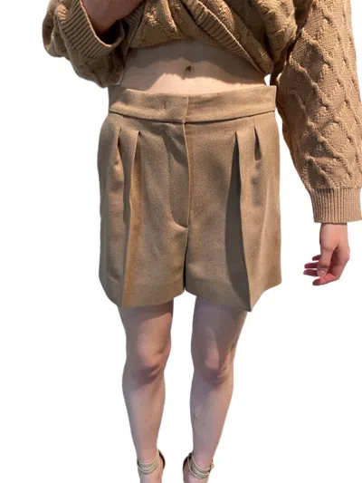 Max Mara Vista High-waisted Shorts In Brown