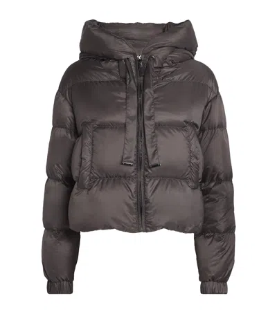 Max Mara Water-repellent Down Cropped Puffer Jacket In Brown