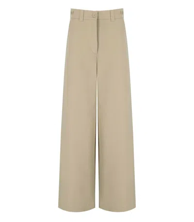 Max Mara Weekend Alfeo Beige Pants In Brown