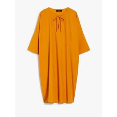 Max Mara Cotton Poplin Dress In Ochre