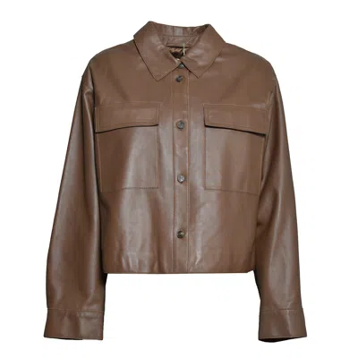 Max Mara Weekend Jackets In Brown