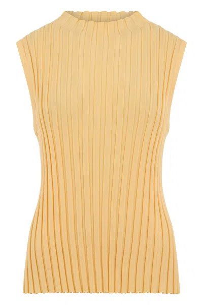 Max Mara Weekend  Sleeveless Ribbed Top In Brown