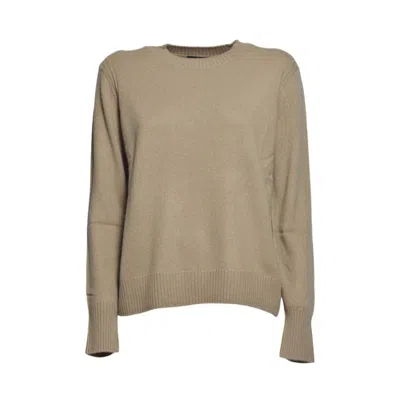 Max Mara Weekend Sweaters In Brown