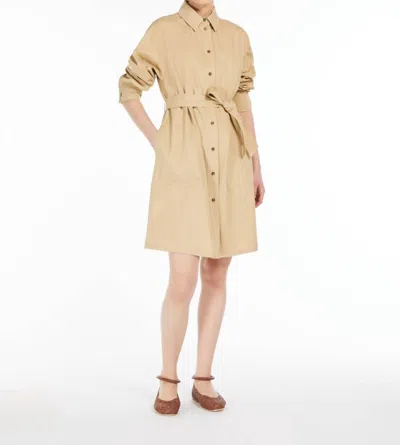 Max Mara Weekend Virgus Poplin Shirt Dress In Colonial In Beige