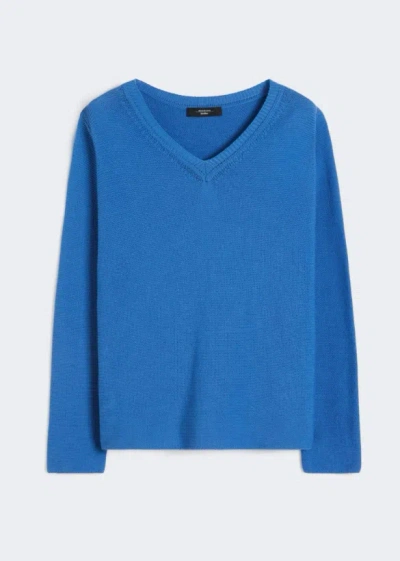 Max Mara Weekend Wkdago In Blue