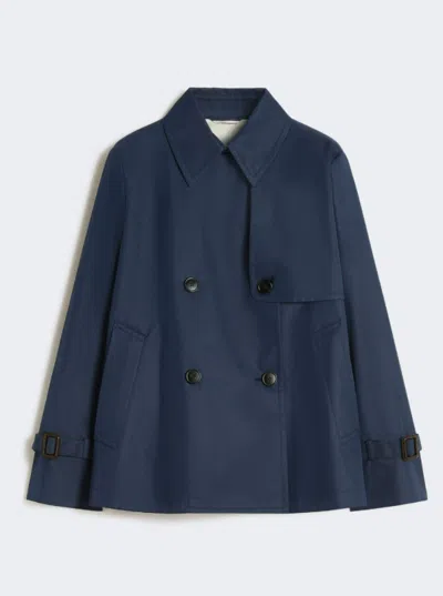Max Mara Weekend Wkdbiglia In Blue