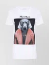 Max Mara White Crew-neck Cotton T-shirt