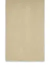 Max Mara Whiskey Beige Viscose Blend Scarf In Cream
