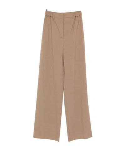 Max Mara Wide-leg Casual Pants In Brown