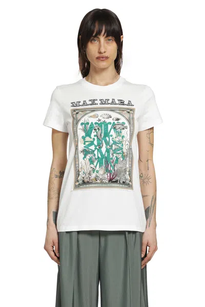 Max Mara Woman  Bodysuits In White