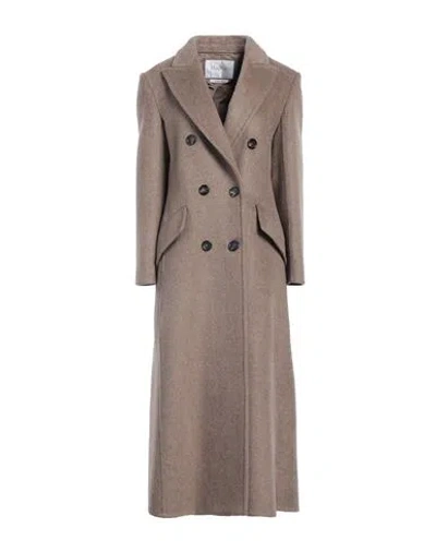 Max Mara Woman Coat Light Brown Size 10 Cashmere, Virgin Wool In Beige