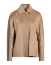 Max Mara Woman Jacket Camel Size 10 Cashmere In Brown