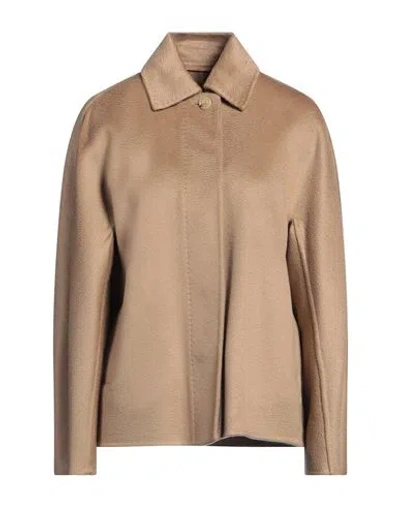 Max Mara Woman Jacket Camel Size 10 Cashmere In Brown