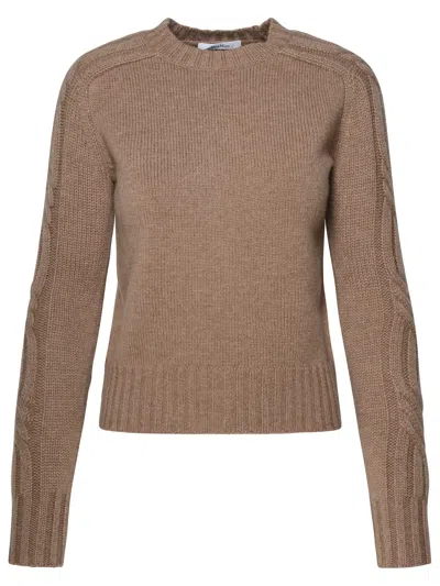 Max Mara Mud Cashmere Sweater In Beige